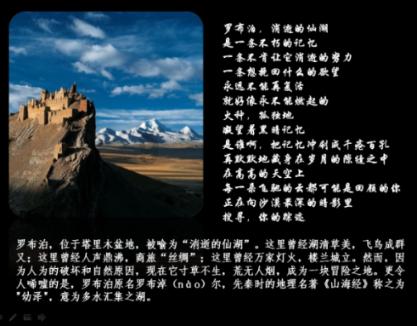 极品飞车19