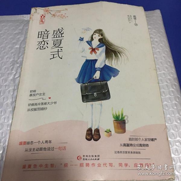 拉萨开展节前燃气灶具及配件产品专项检查